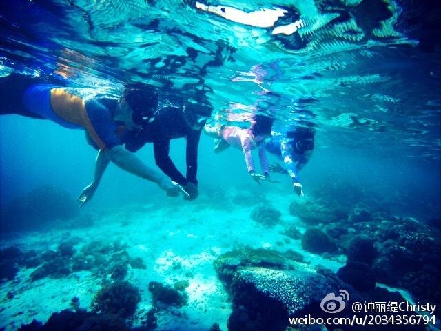 荣盛房地产发展股份有限公司成被执行人，被执行金额113210.0元